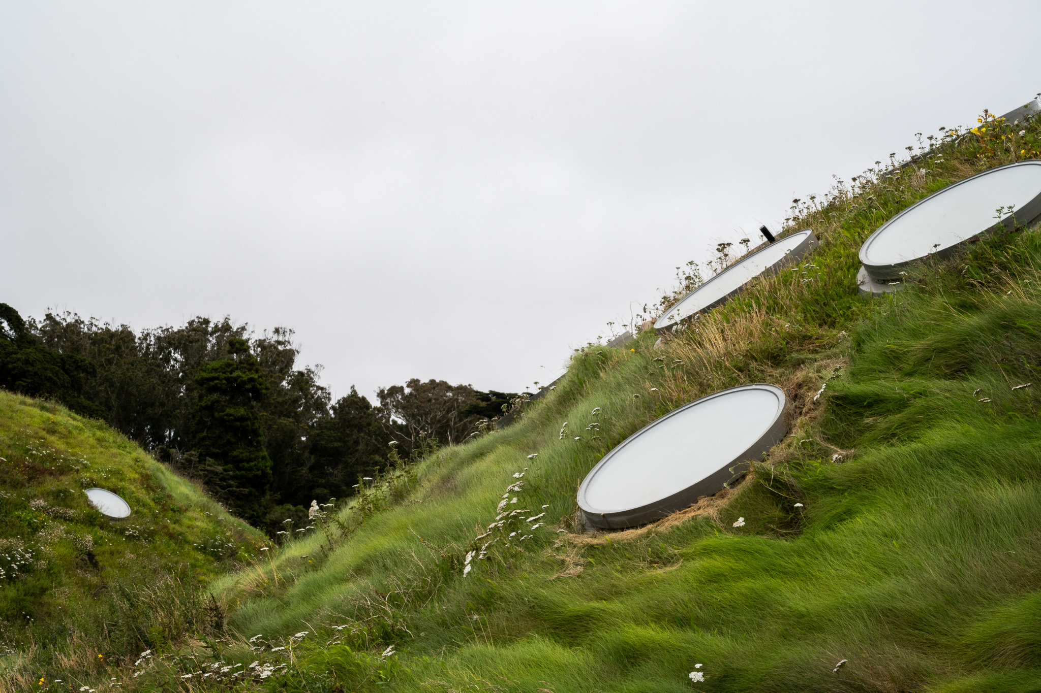 Mounds atop Cal Academy