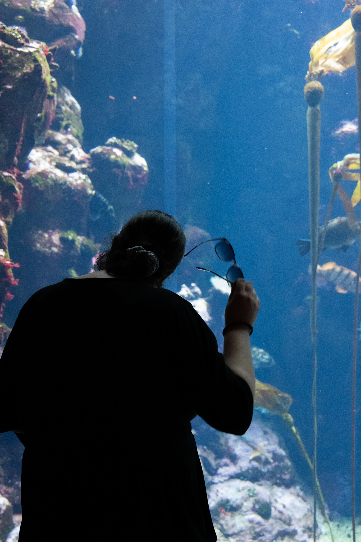 Milly admiring the fish